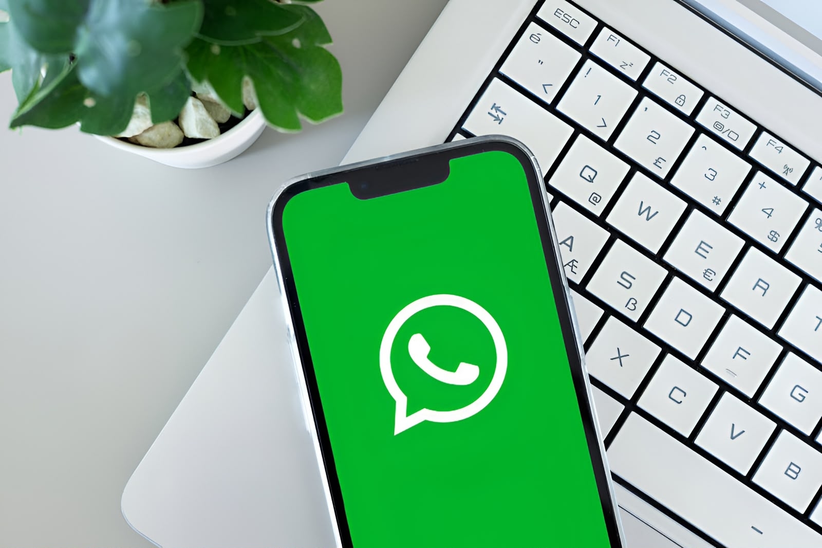 Cara Share Screen WhatsApp di HP untuk Presentasi Online