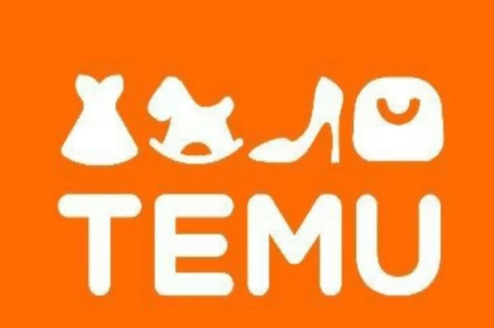 Mengenal Aplikasi Temu: Inovasi atau Ancaman bagi UMKM? Berikut Penjelasannya