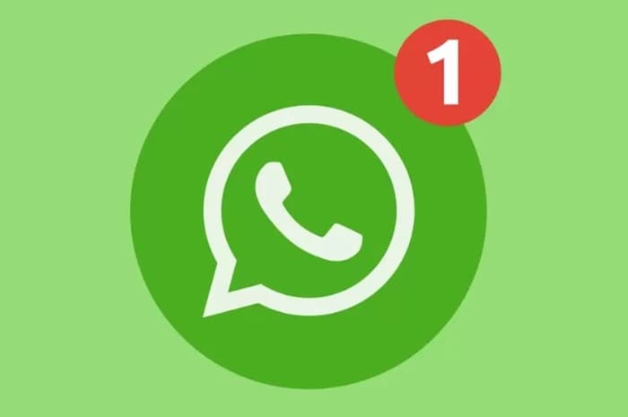 Cara Melacak Foto dan Chat Pada Aplikasi WhatsApp yang Dicadangkan di Google Drive