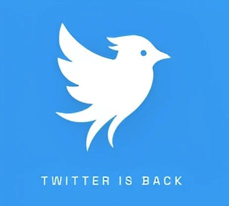 Twitter Kembali Hadir Lewat Twitter.now, Bawa Lagi Logo Burung Biru