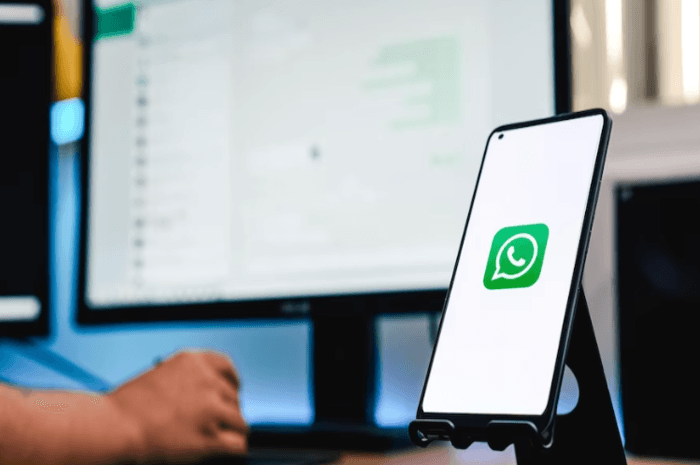 FM WhatsApp Versi Terbaru 2023 Kenali Kelebihan dan Kekurangannya
