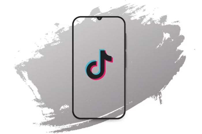 Snaptik App Download Video TikTok Kualitas HD Tanpa Watermark, Sangat Mudah dan Cepat