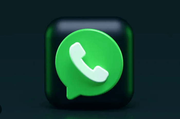 GB WhatsApp Revdl Centang 1 Menjadi Aplikasi Yang Banyak Dicari, Simak Beberapa Kelebihan Dan Resikonya