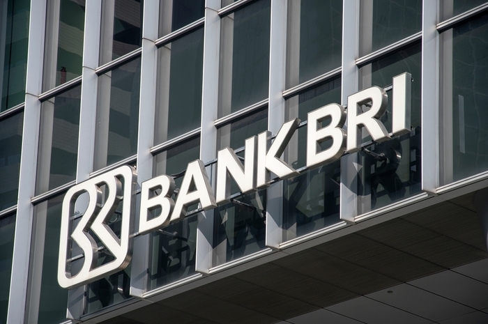 Cara Pinjam Uang Di Bank BRI Online Terbaru 2024 Dengan Praktis dan Keuntunganya