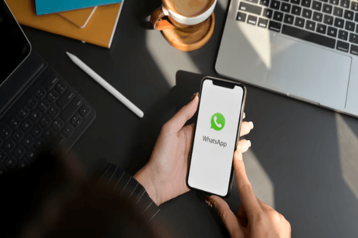 Alasan Mengapa WhatsApp Kini Tak Dapat Lagi Melakukan Screenshot Foto Profil WA