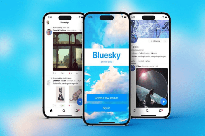 Bluesky: Media Sosial Baru yang Menggebrak Dunia Digital, Berikut Penjelasan Lengkapnya