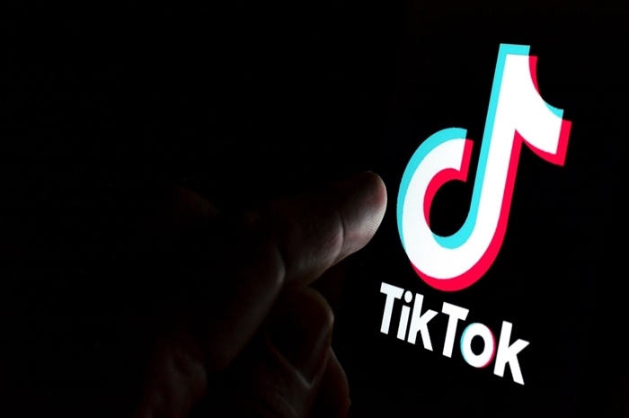 Harga Gift Singa di TikTok dan Artinya, Auto Kaya kalau Sedang Live Disawer Ini