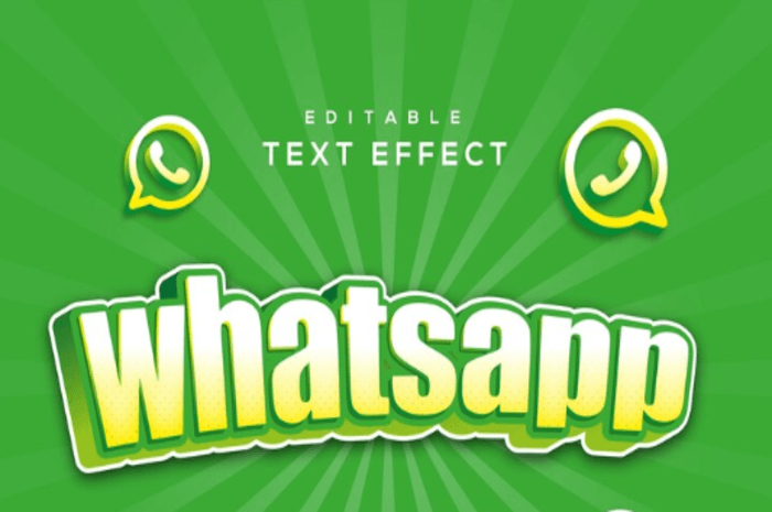 Kreasi Warna, Begini Cara Membuat Tulisan Warna-Warni di WhatsApp agar Chat Lebih Seru