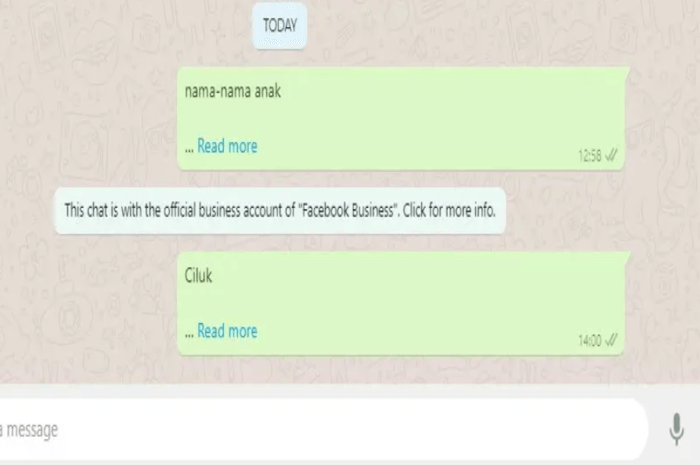 Trik Sederhana, Cara Membuat Tulisan 'Baca Selengkapnya' di WhatsApp